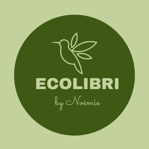 ECOLIBRI by Noémie, un blog éthique qui t'aide à faire des économies